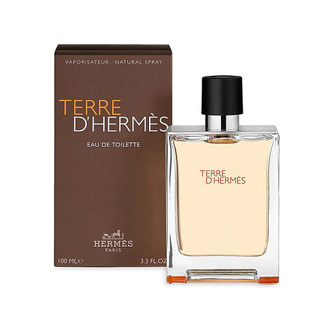 Terre D'hermes Eau De Toilette Spray 3.3 oz 100ml