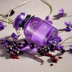 Dolce Violet Eau De Toilette Spray 2.5 oz 75ml